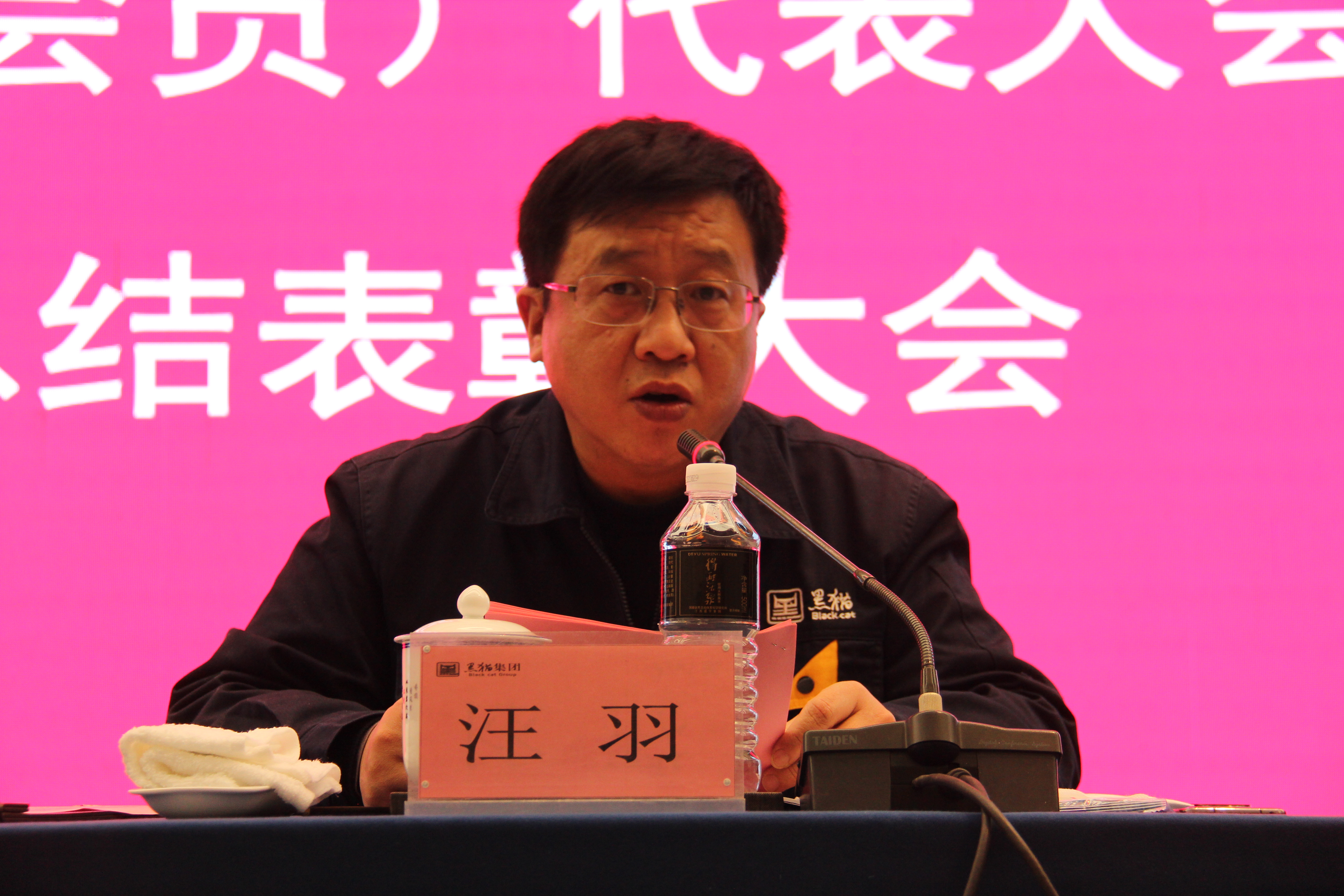 黑貓集團(tuán)黨委副書記、總經(jīng)理汪羽發(fā)言 (2).JPG